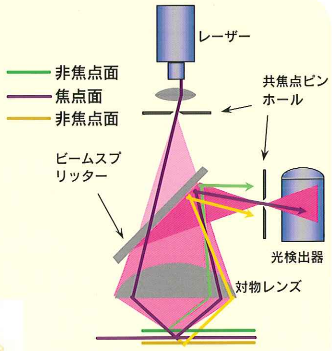 mcanac